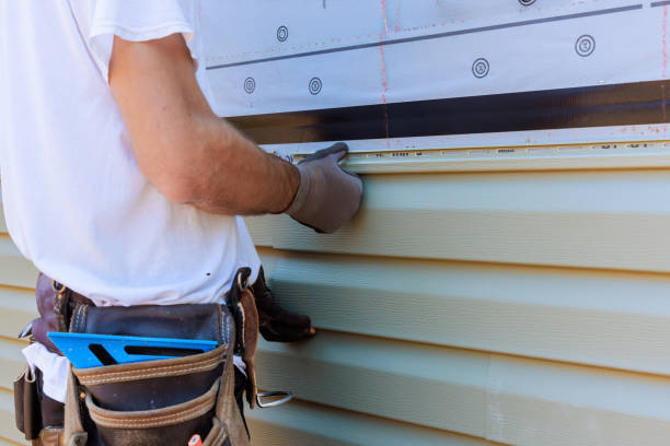 Affordable Vinyl Siding solutions in McLean, VA